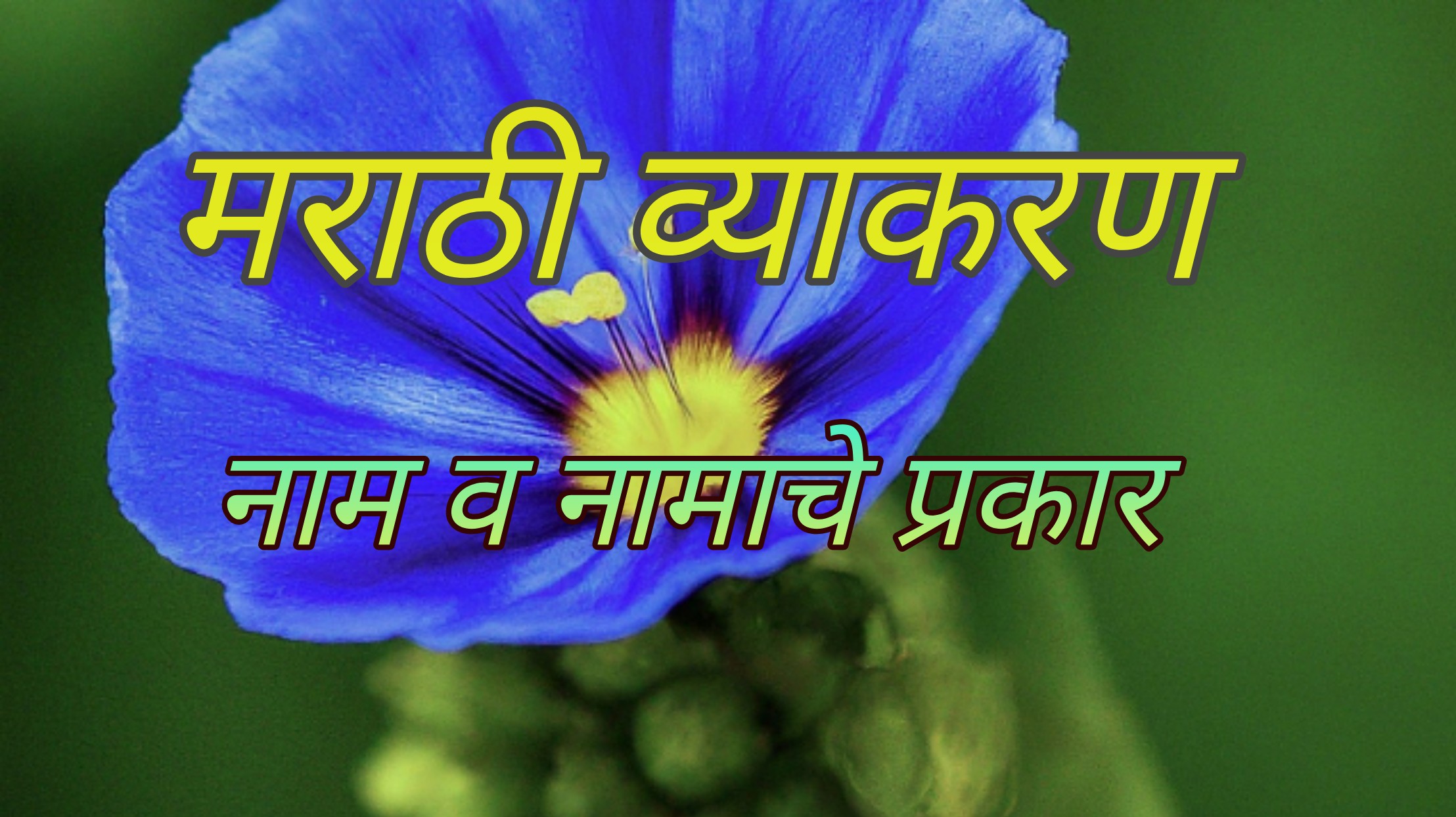 Types of Noun in Marathi | नाम व नामाचे प्रकार | Marathi Grammar | Nam